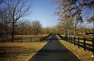 Windriver Horse Fence