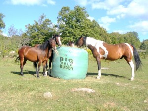 Stable.com