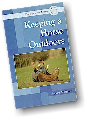 keeping-horse-outside