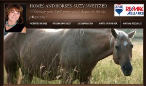 Colorado Horse Property
