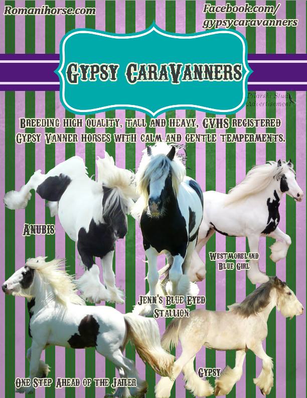 Gypsy-CaraVanners-Festival-of-the-Gypsies-Ad-2015