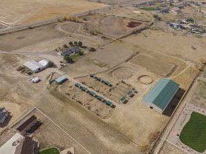 CH Equine Stables