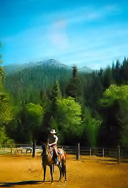 horse_ranch_riding_california