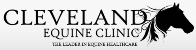 Ohio Equine Clinic on Stable.com