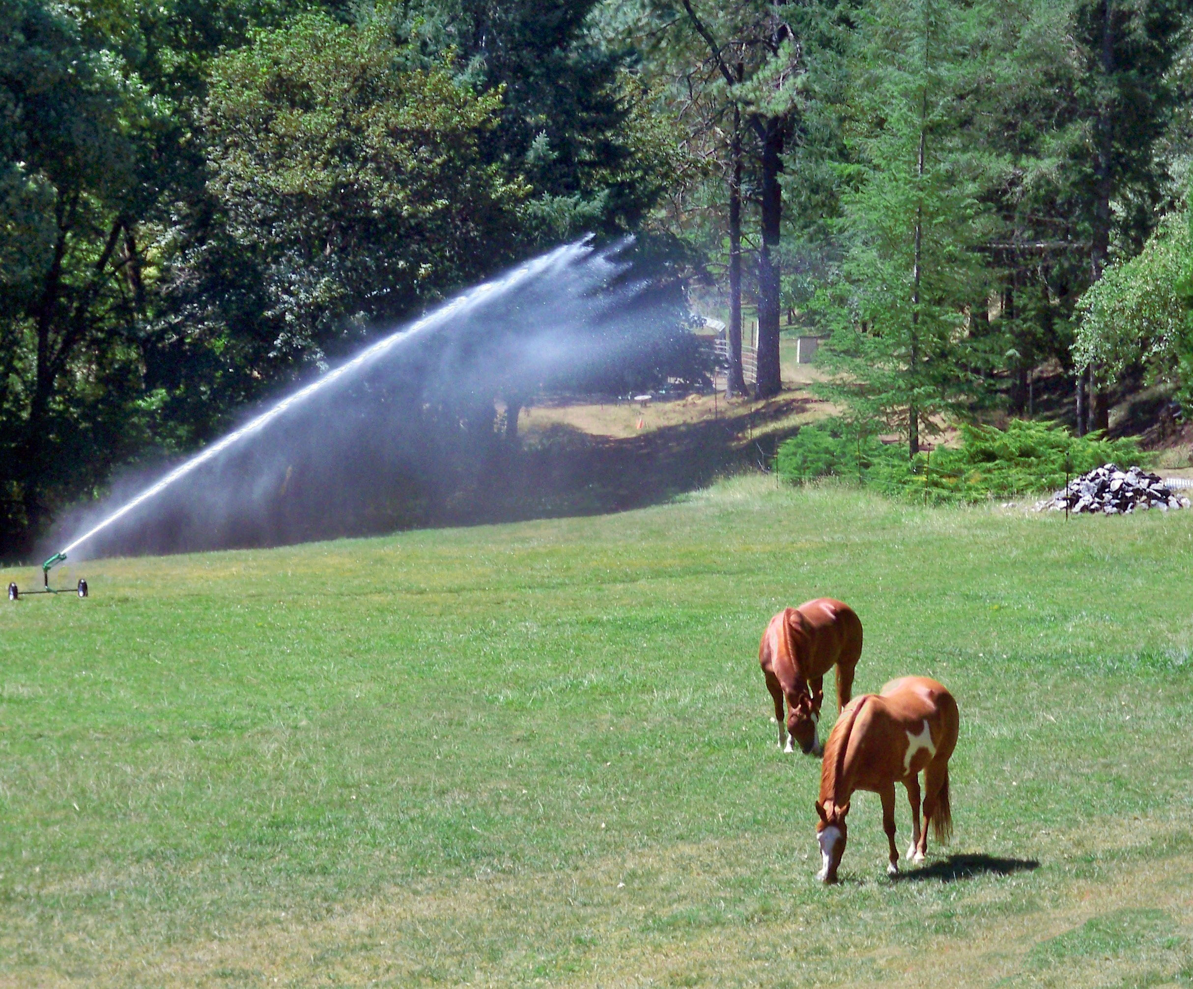 Let Big Sprinkler help you keep the dust down