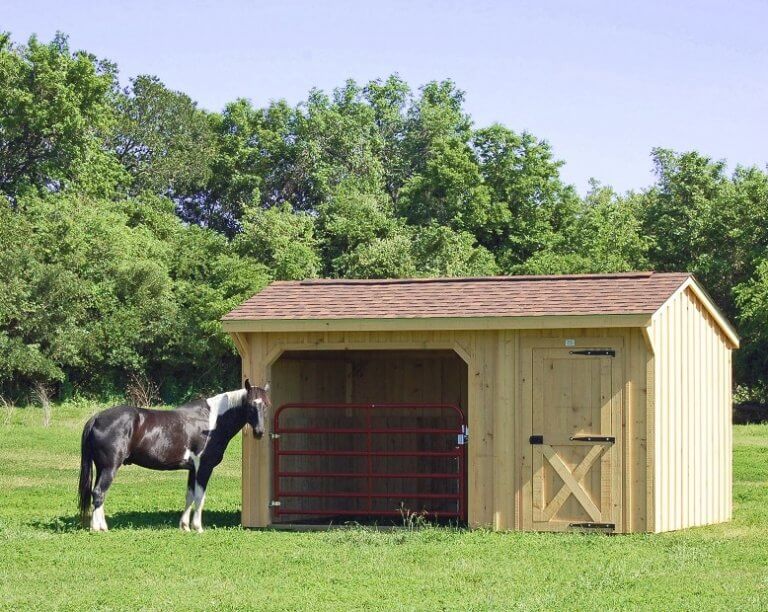 Equestrian Horse Expo USA America's ONLY online horse expo