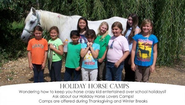 Horse Riding Lessons near Sacramento, California