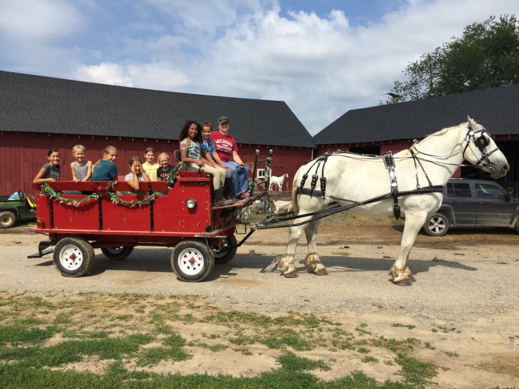 Blackstone Stables in Michigan Horse Expo USA