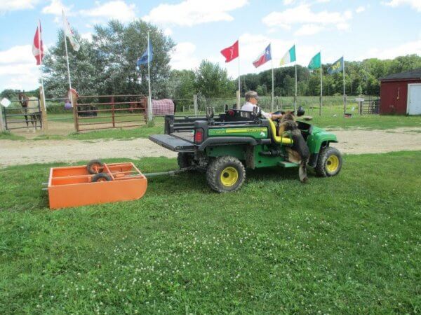 Super Scooper Manure Removal and Paddock Clean-up
