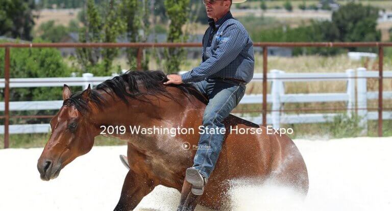 waashingtonstatehorseexpo2 768x415