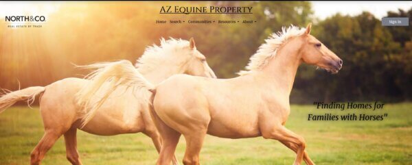 Arizona Equine Property by Lori Ross Doa