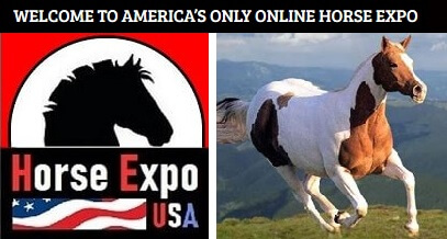 Horse Expo USA