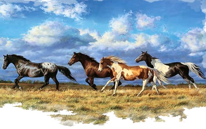 Equestrian Horse Expo USA America's ONLY online horse expo