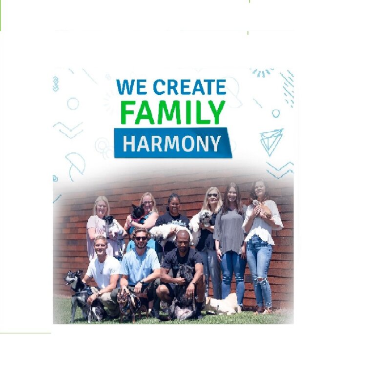 237092535 4199189133498316 1425114470681553272 n 1 768x768