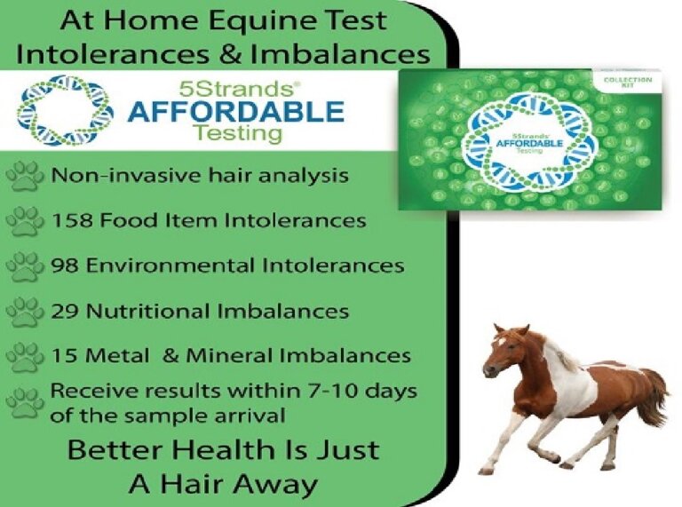 Equine Test Intro scaled 720x720 crop center 768x571