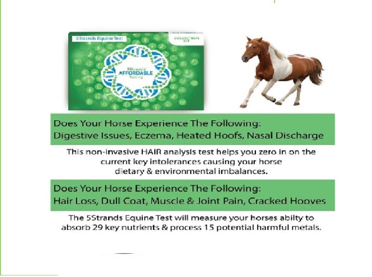 Pet Symptoms Horse scaled 720x720 crop center 1 768x571